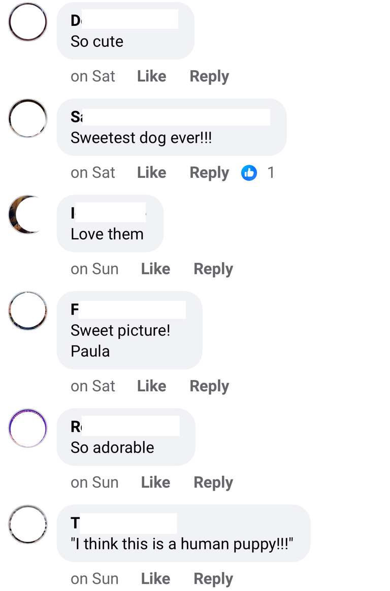 Screenshot of Facebook. Anonymised users posting generic comments like 'Beautiful!' that are obviously bots.