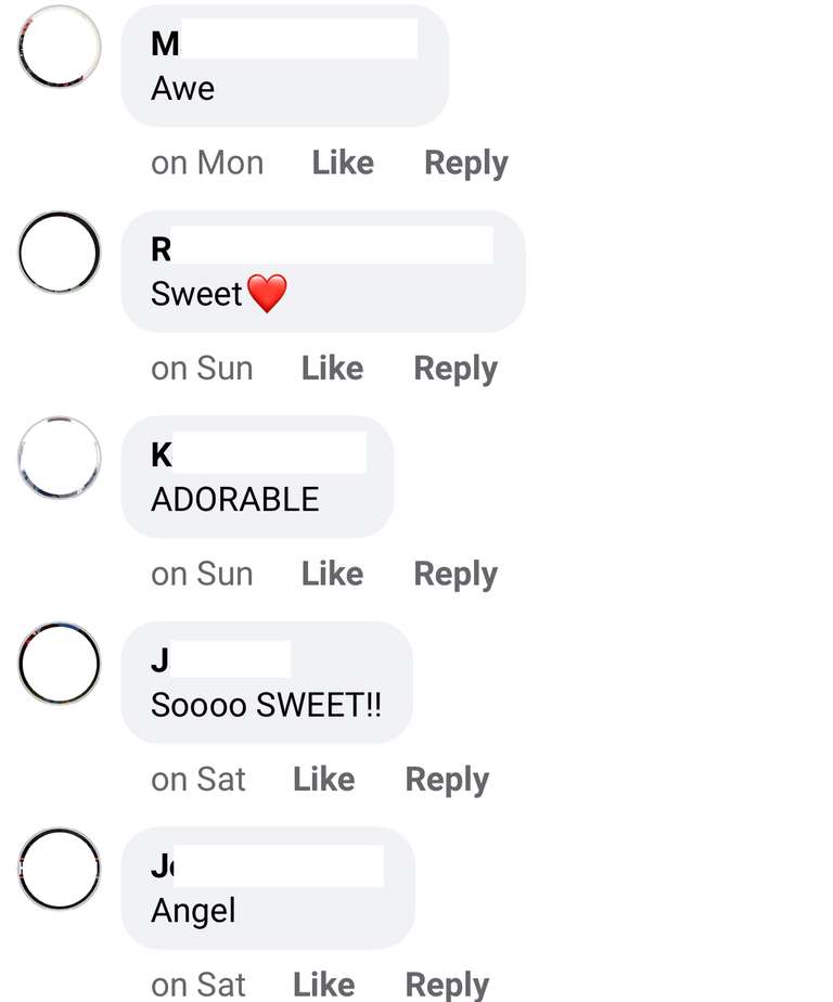 Screenshot of Facebook. Anonymised users posting generic comments like 'Beautiful!' that are obviously bots.