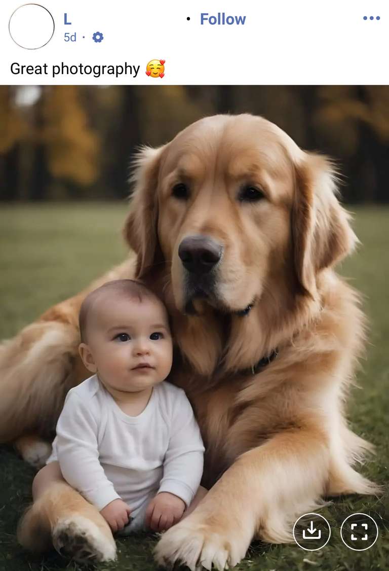 Screenshot of Facebook, an AI generated photo of a baby sitting next to a dog, with the caption 'Great photography'. I didn't screenshot the comment numbers on this one.
